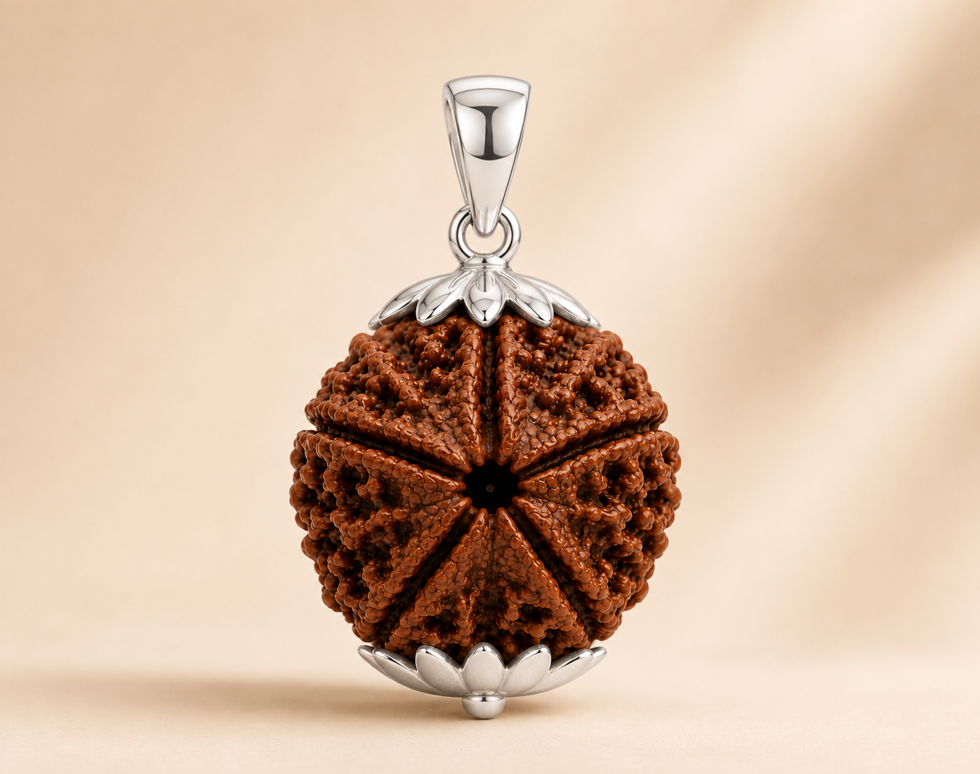 5 Mukhi Rudraksha ( Nepal Origin )